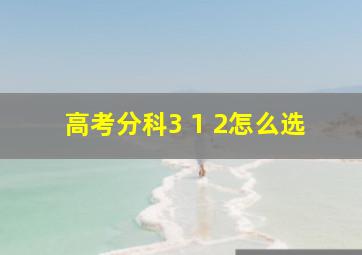 高考分科3 1 2怎么选